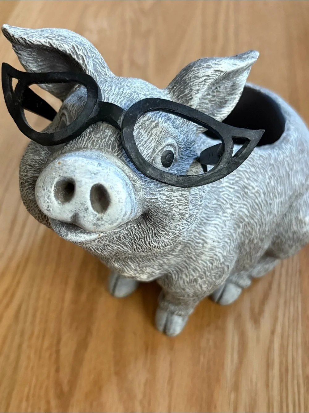 Whimsical Gray Pig Planter with Black Glasses Accent Roman’s Pudgy Pals